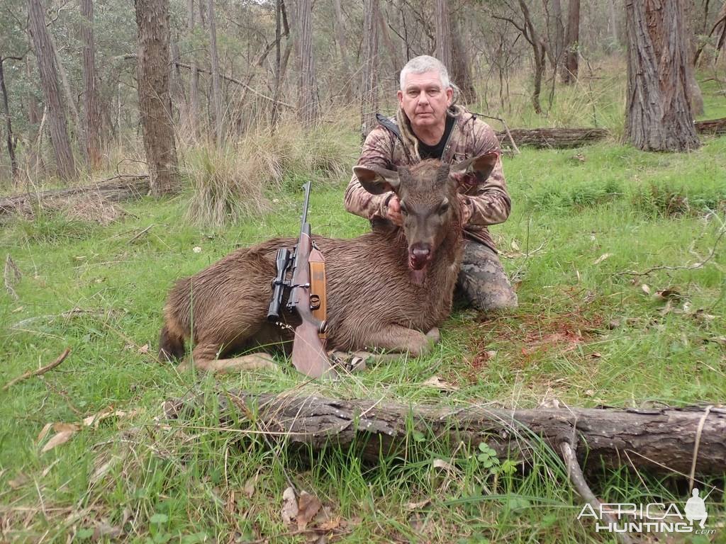 Sambar Deer Hunt Australia