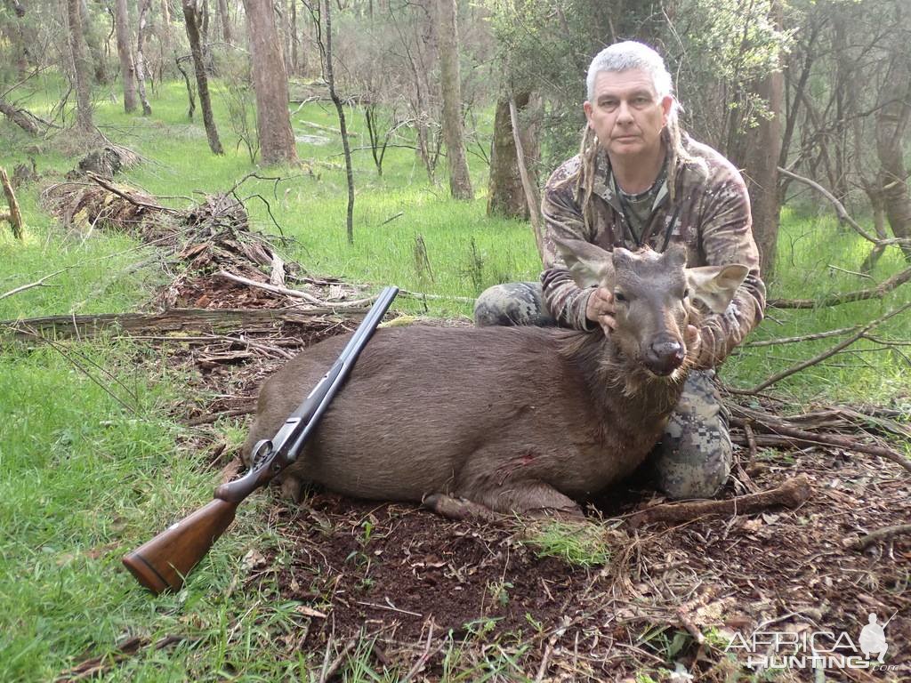 Sambar Deer Hunt Australia