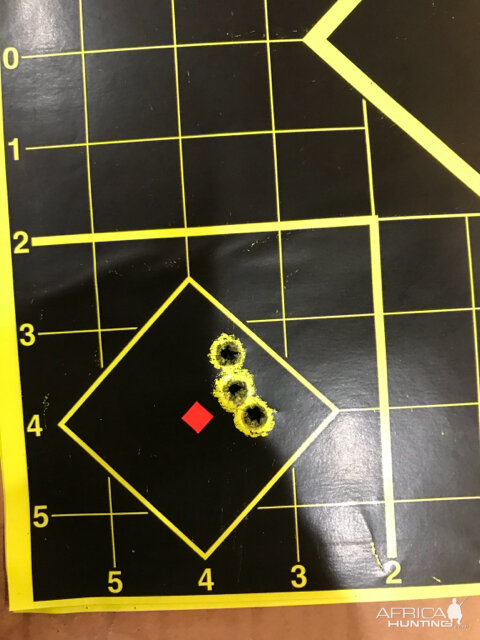 Savage 110 in 308 Win Range Shots