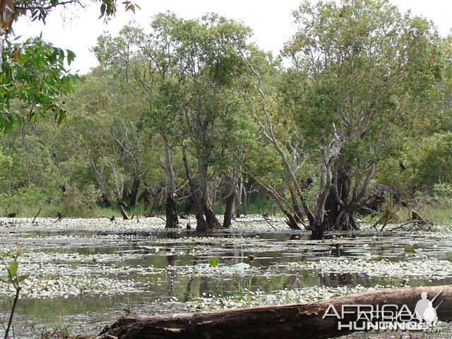 Scenery Arnhemland, Australia