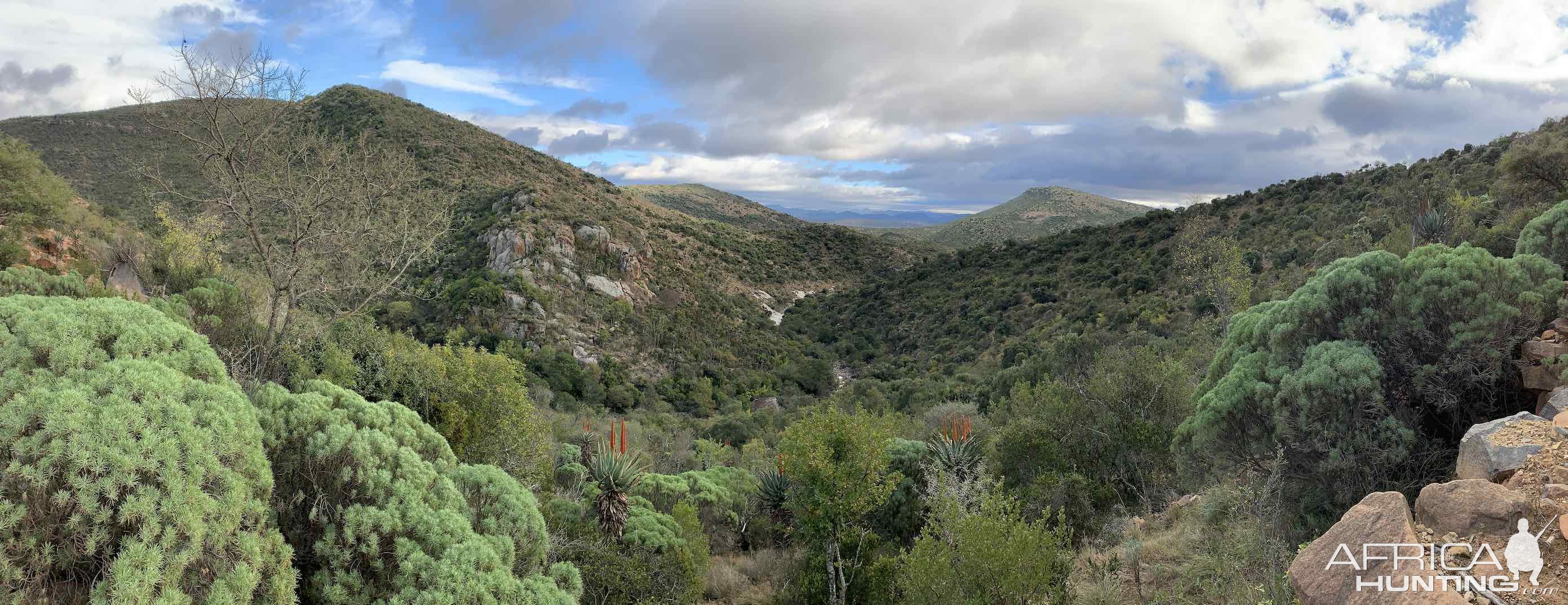 Scenery Eastern Cape South Africa