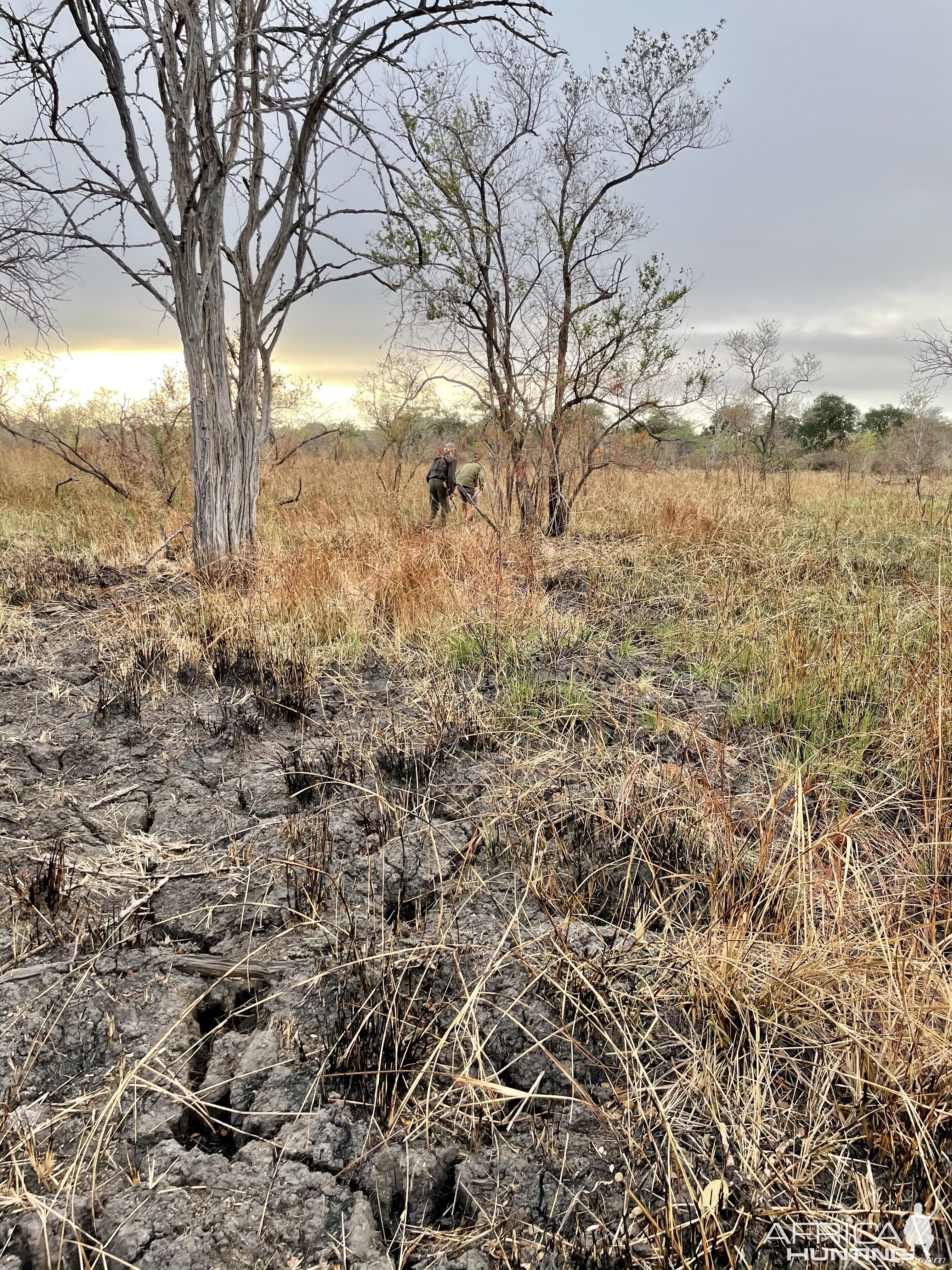 Scenery Selous Game Reserve Tanzania