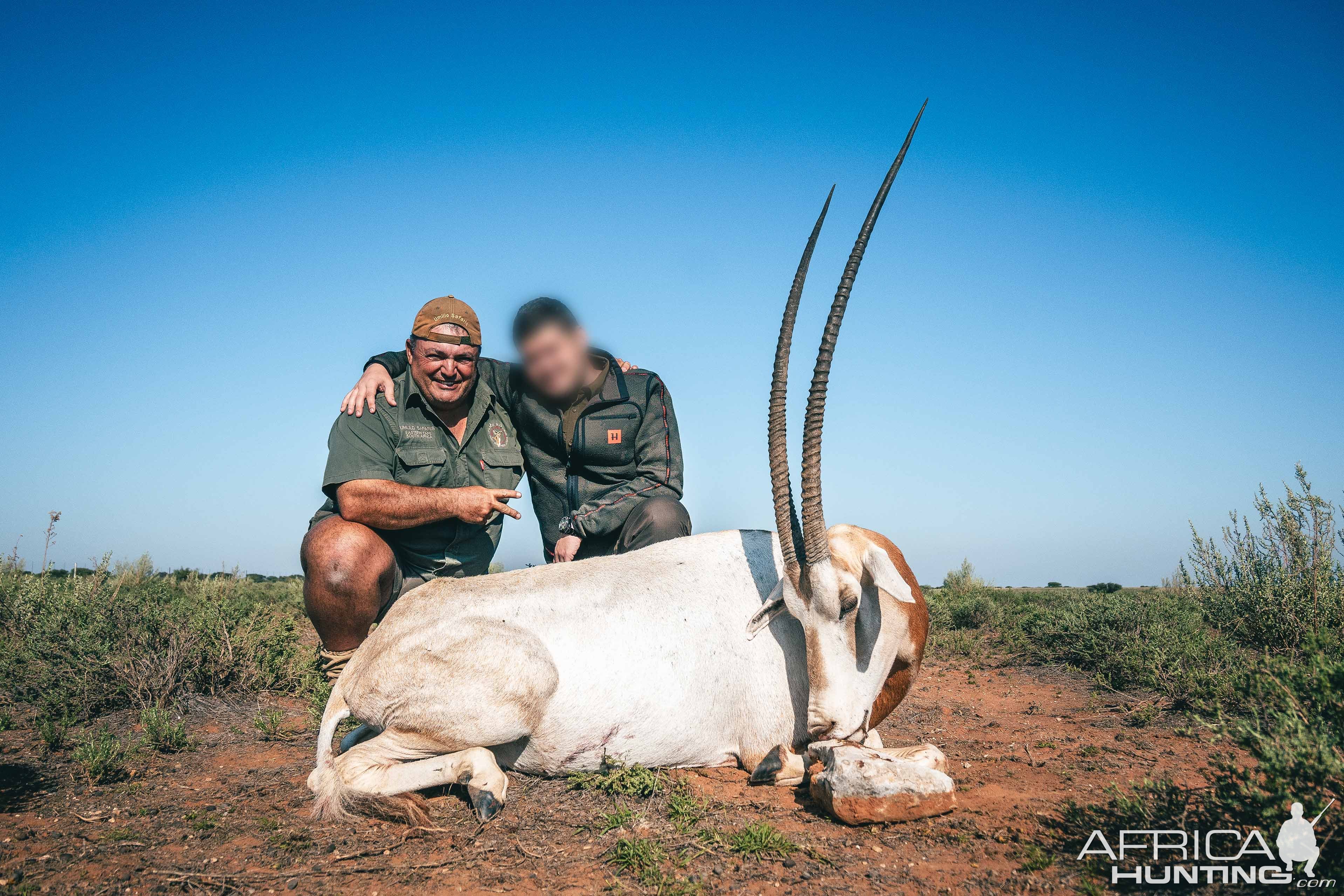 Scimitar Oryx Hunt South Africa