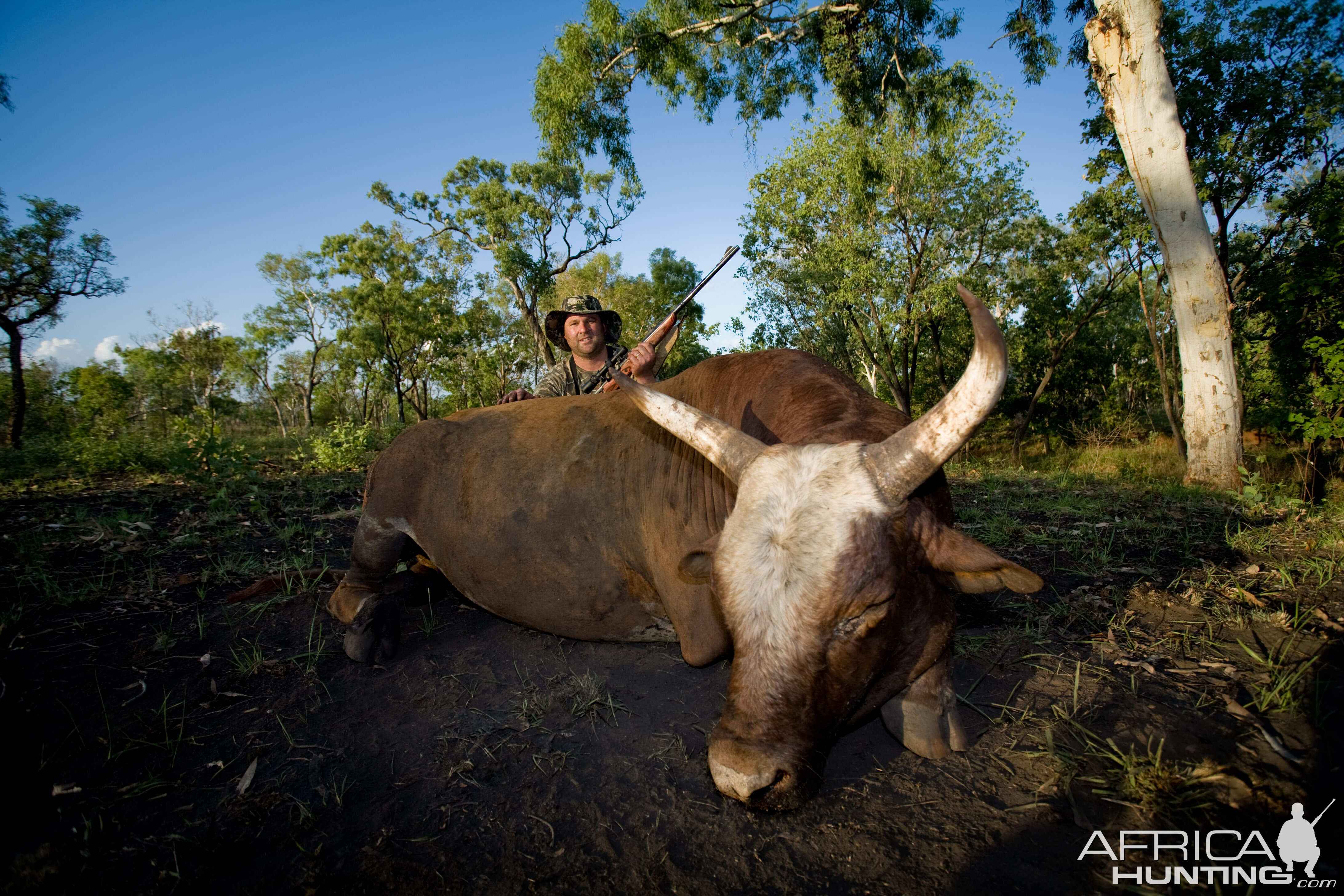 Scrub Bull Hunt Australia