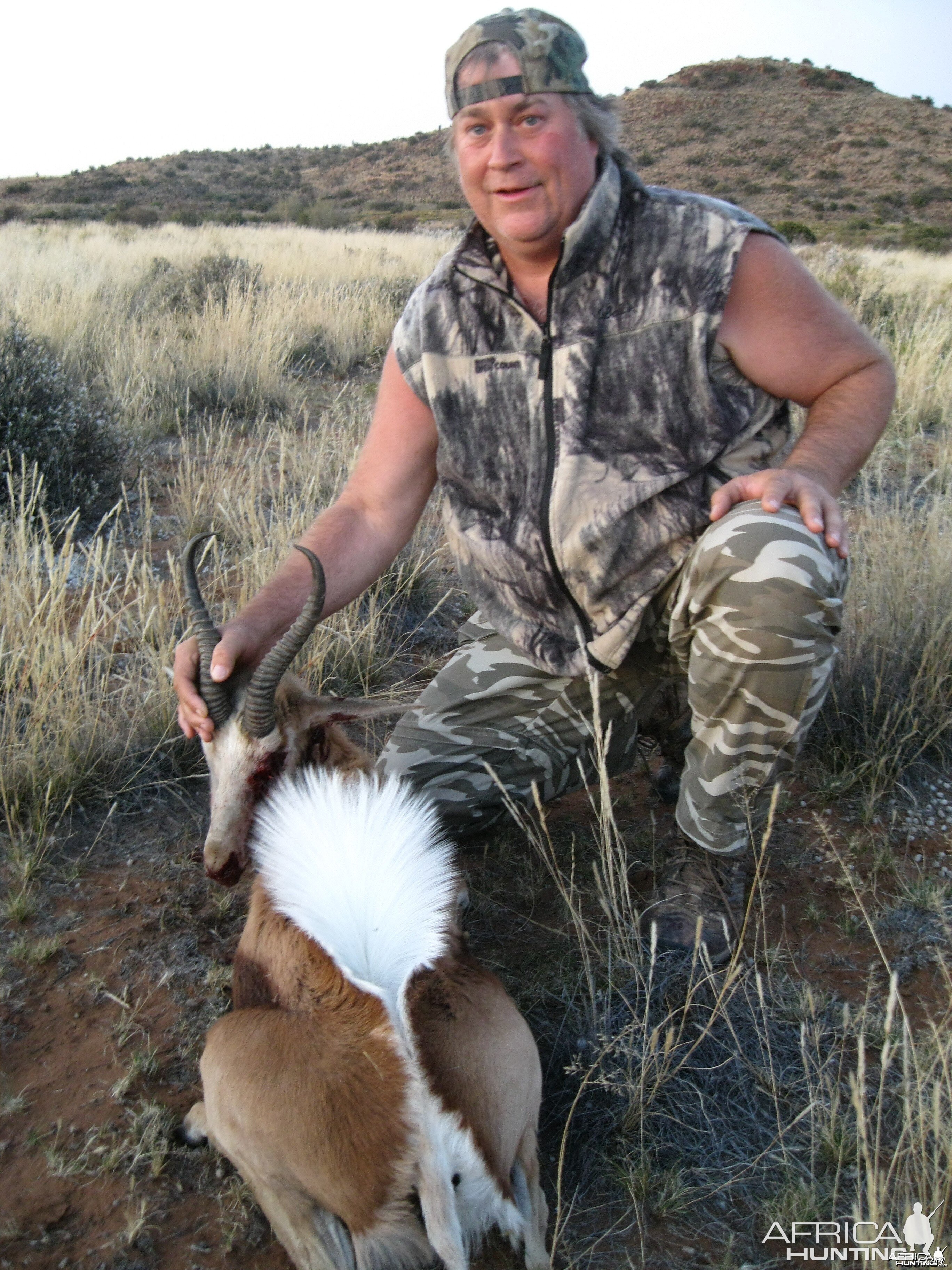 Second Common Springbok
