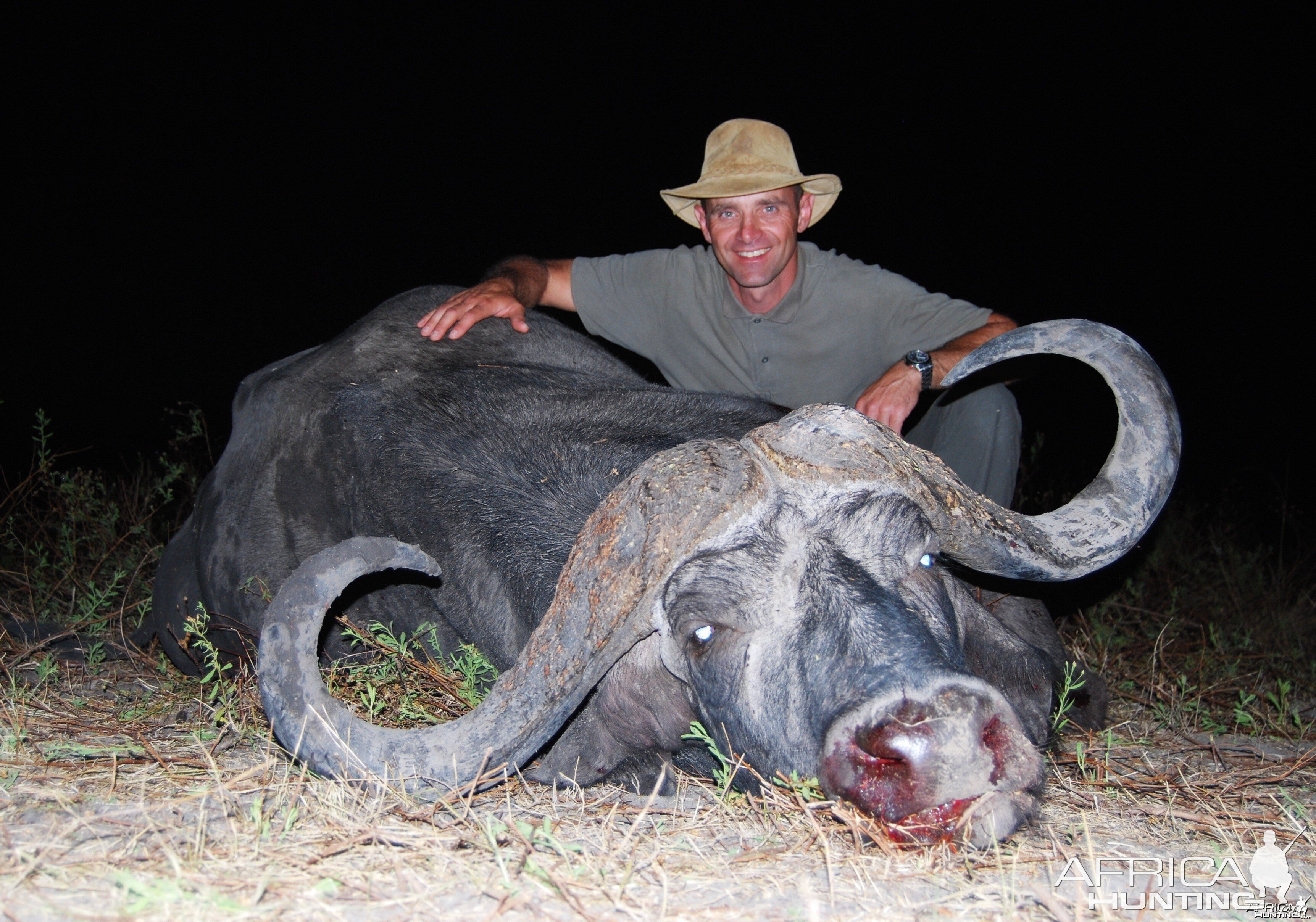 Selous Buffalo