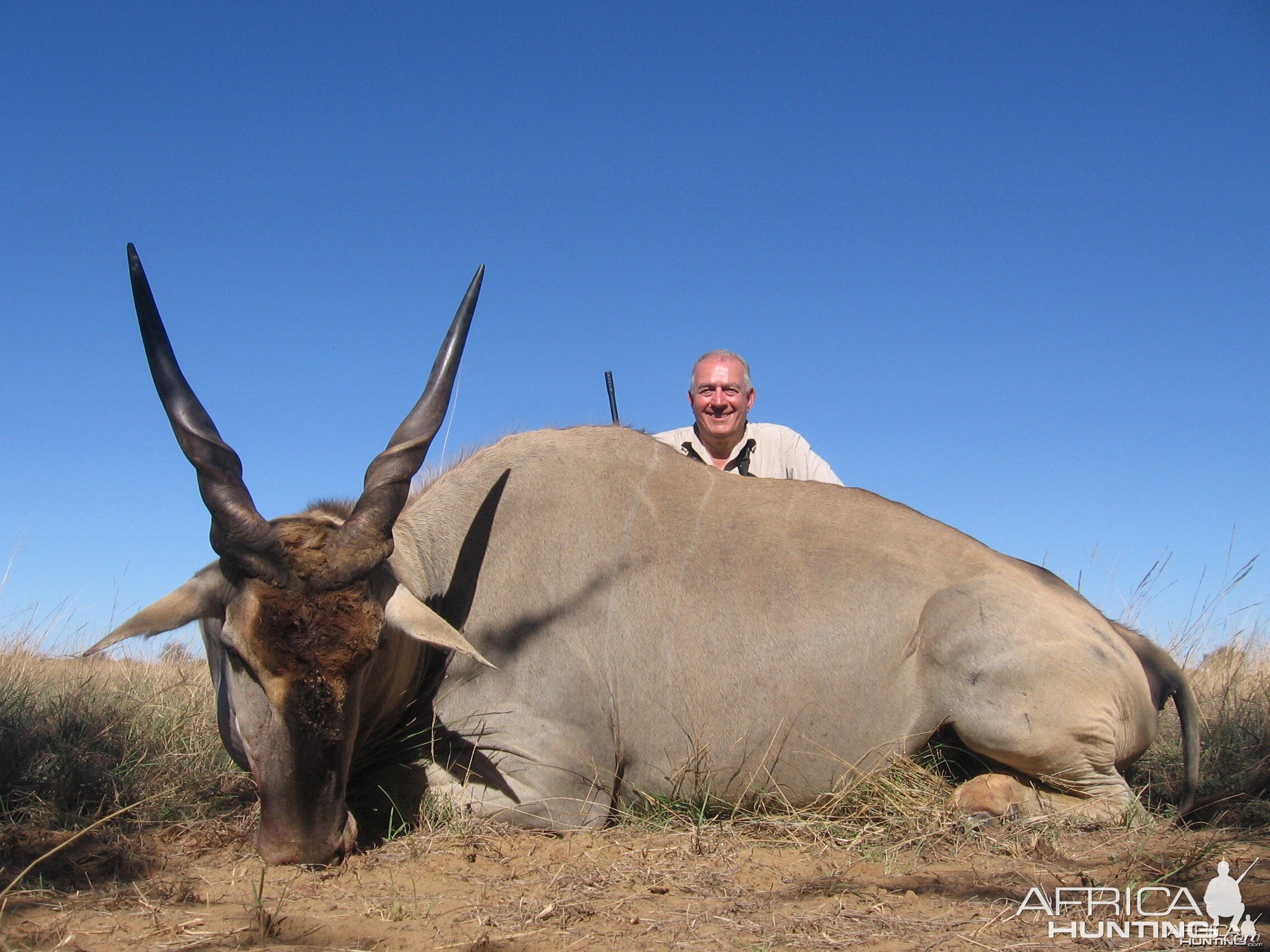 Sergio's Eland December 2010