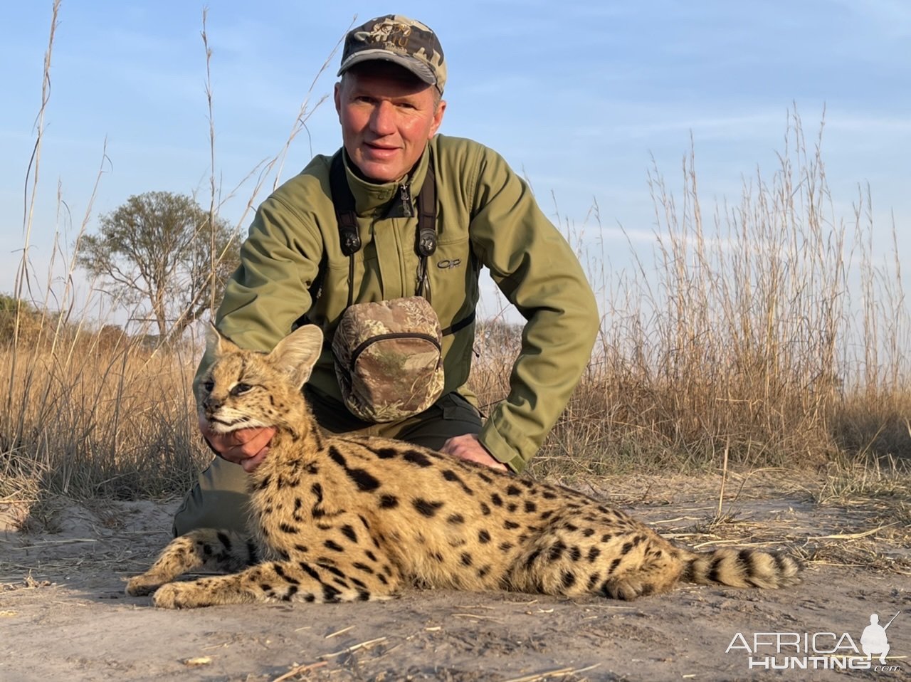 Serval Cat Hunt Zambia 