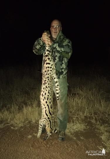 Serval Cat Hunting Sunset Safaris