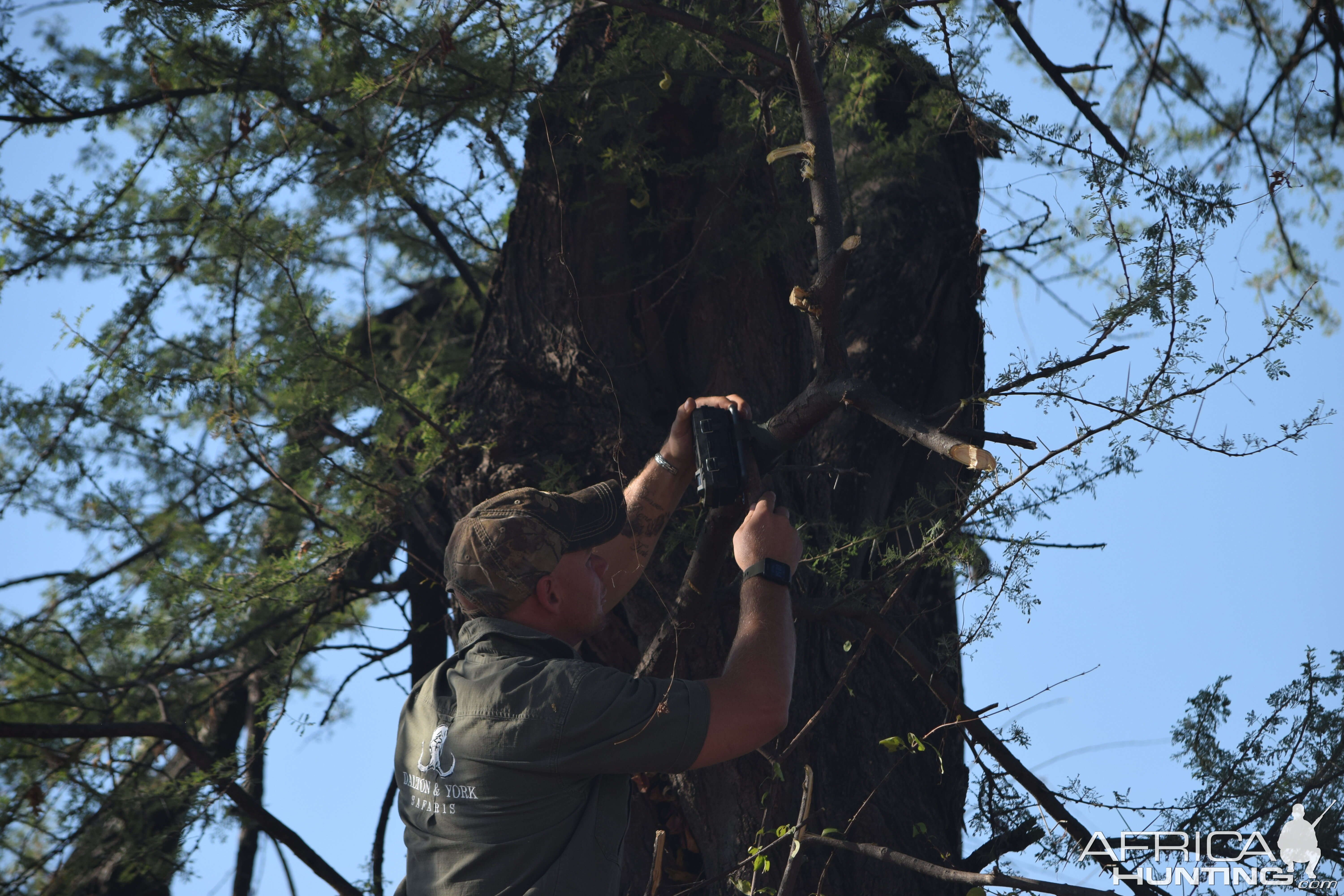 Setting Trail Camera Zimbabwe