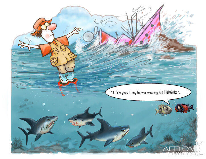 Shark Cartoon