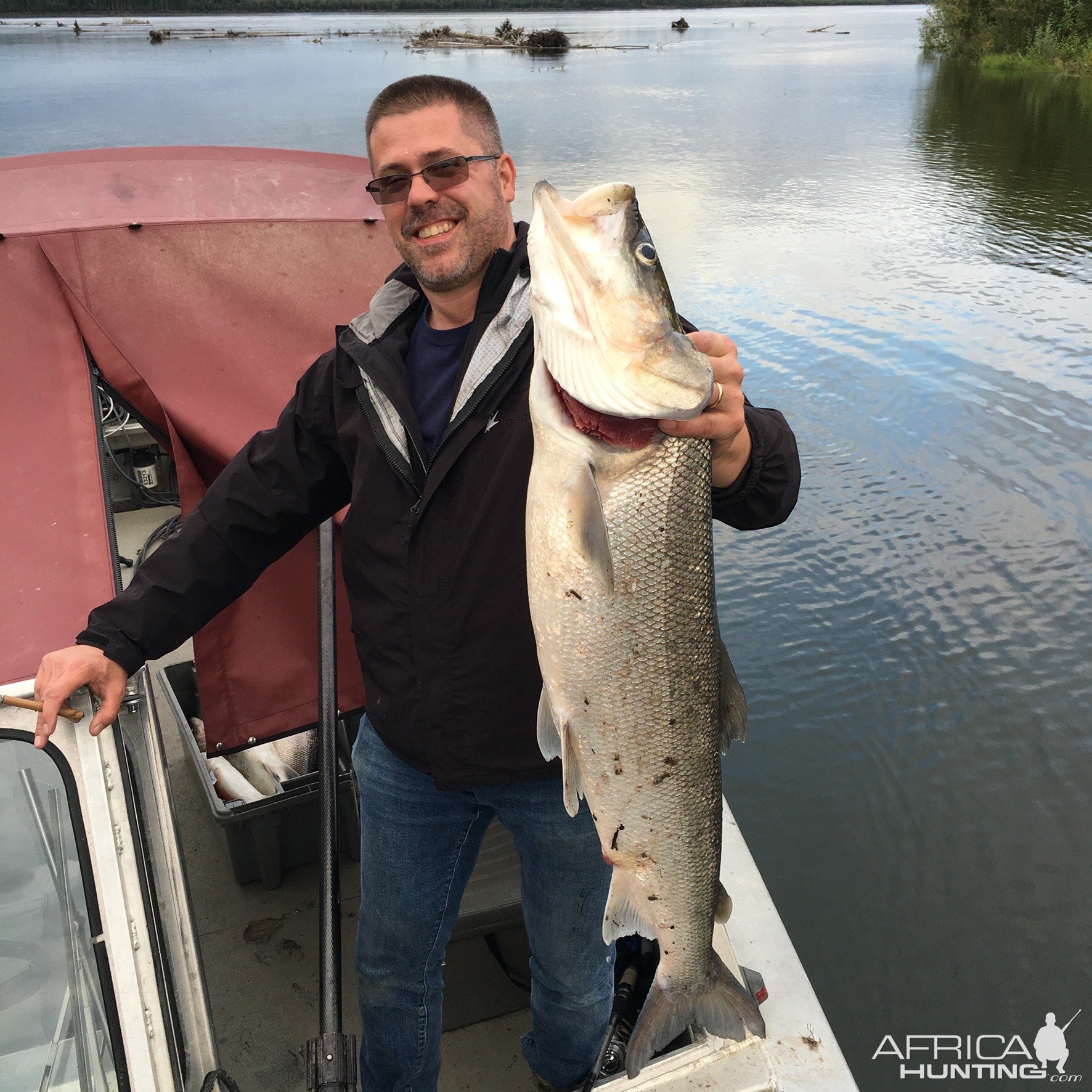 Sheefish Fishing Alaska USA