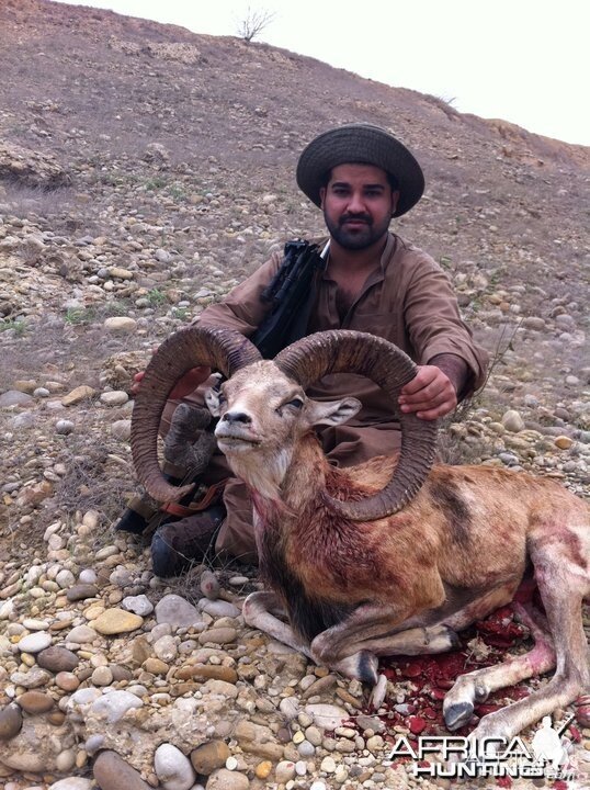 Sheep hunt in Pakistan