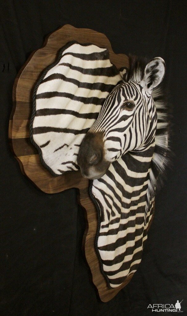 Shield Hartmann Mountain Zebra Damaske