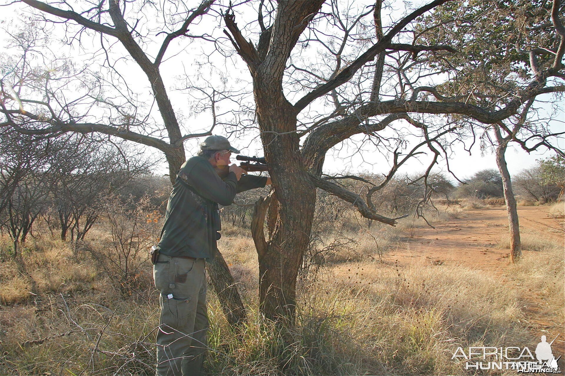 Shooting Sticks