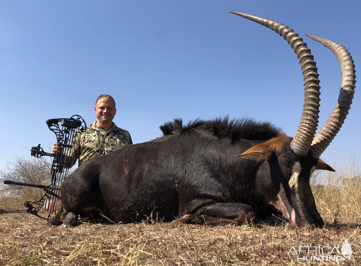 Shot this magnificent Sable in South Africa with Ditholo Safaris.