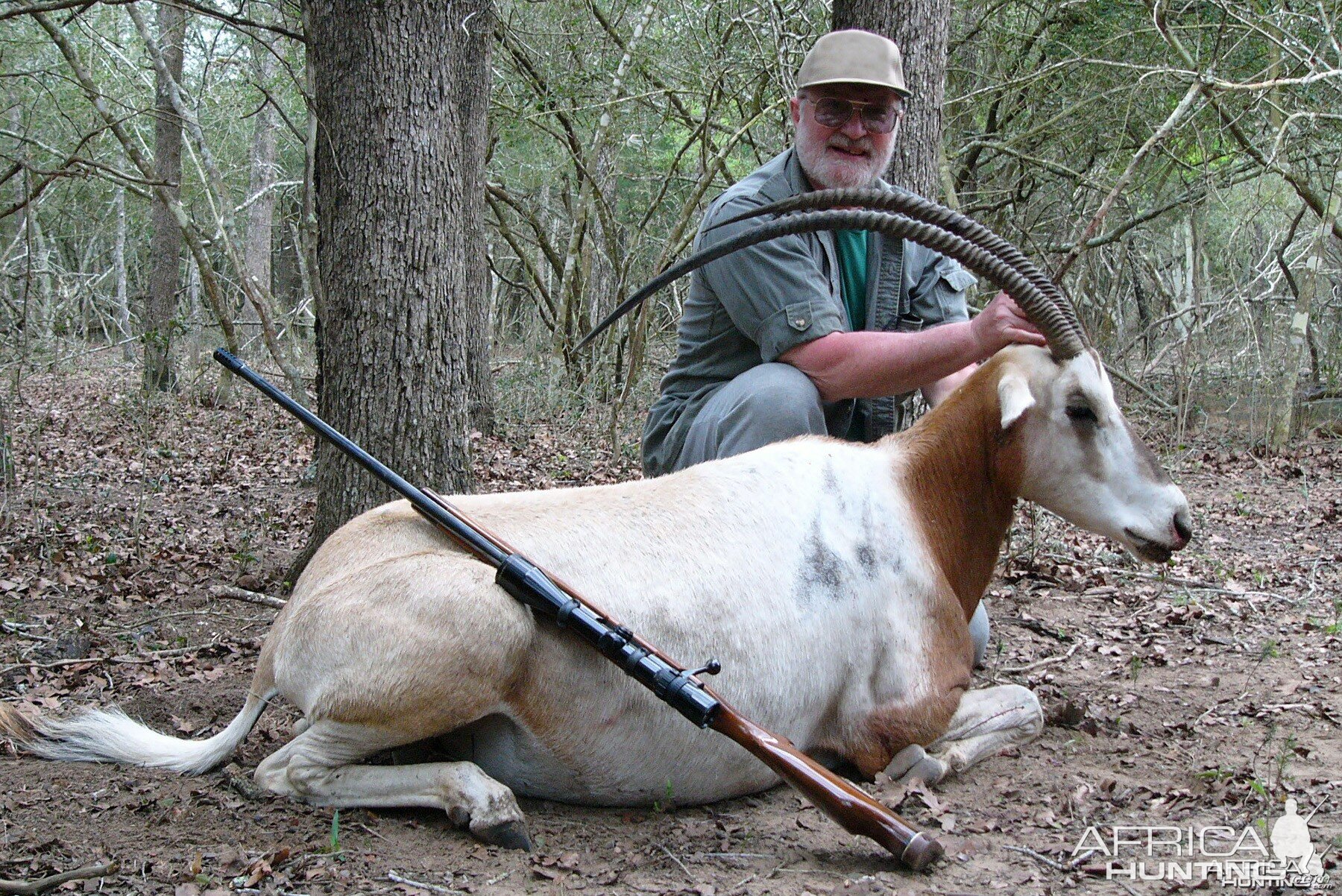 SimmSamm's Scimitar Horned Oryx