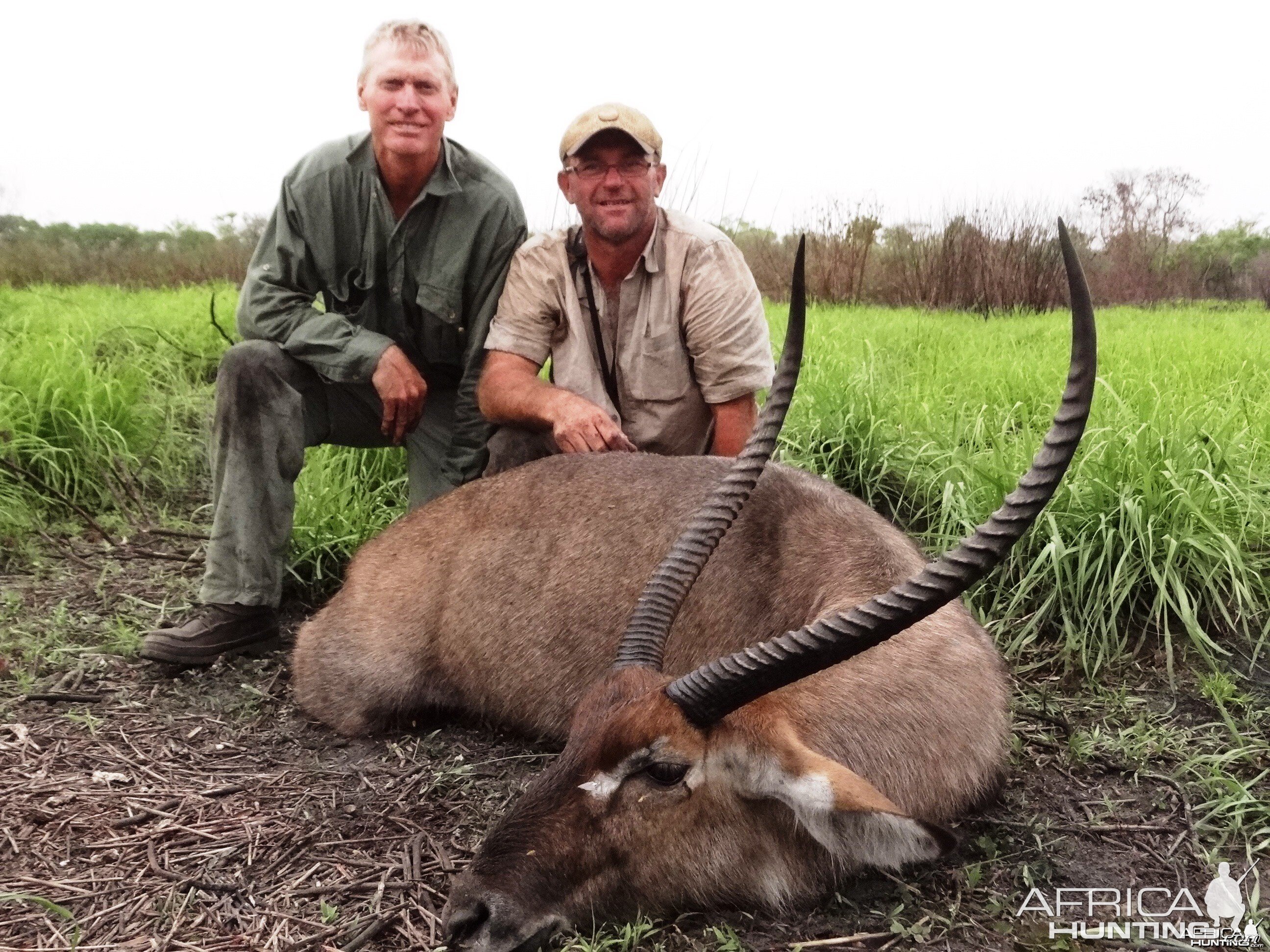 Sing sing waterbuck