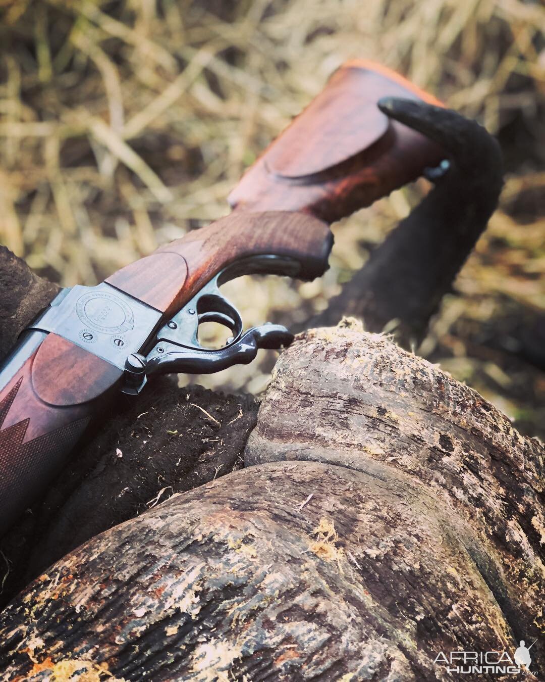 Single shot .450-400 Classic used on a Buffalo hunt in Mozambique