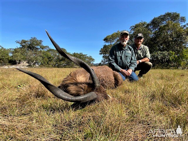 Sitatunga Hunting Zambia