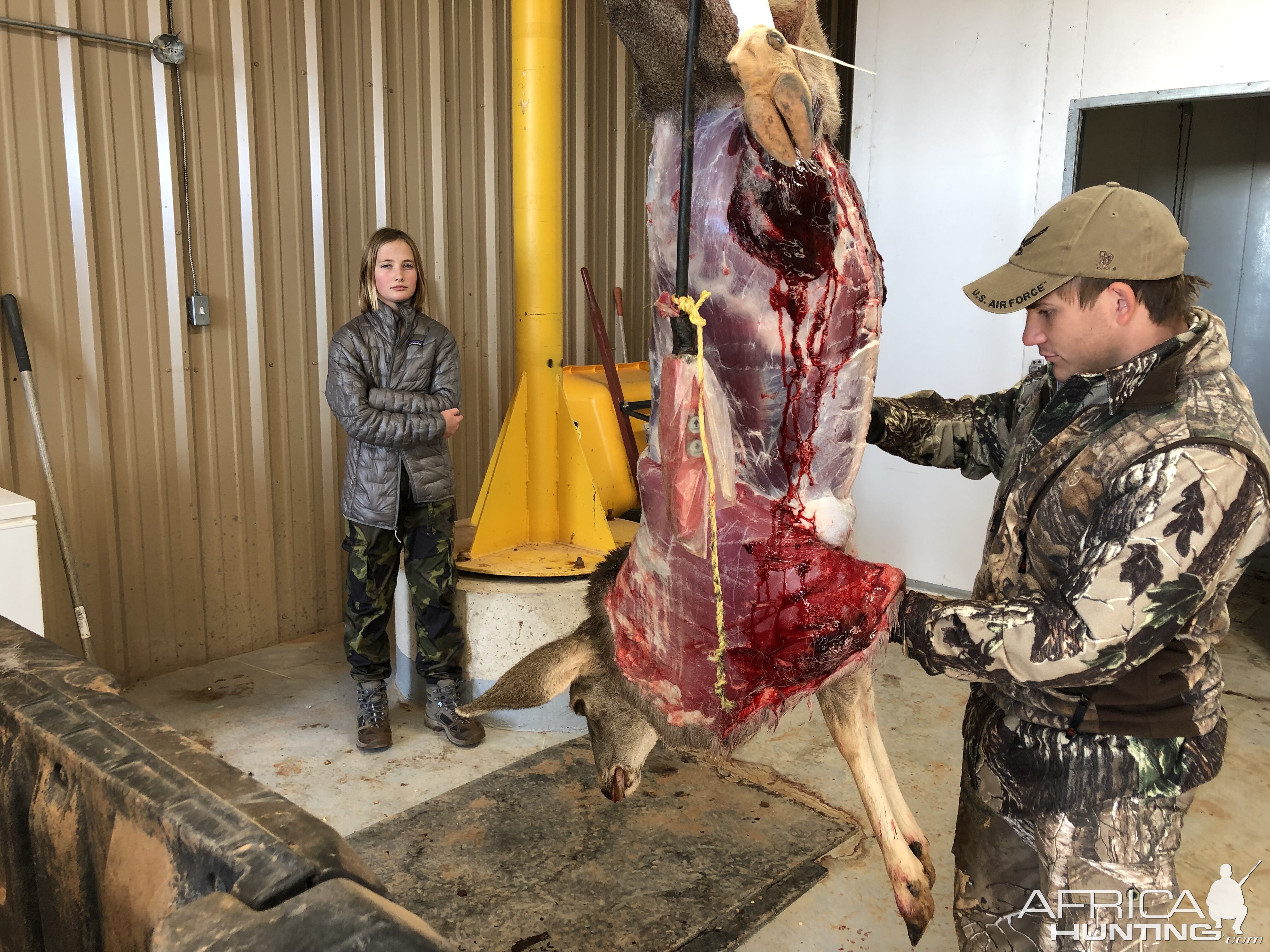 Skinning Deer