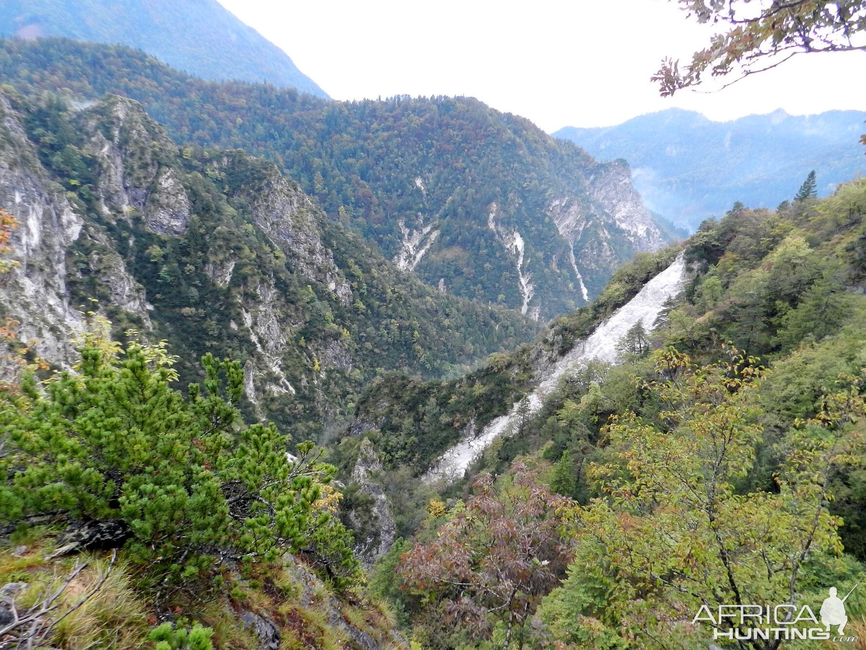 Slovenia Nature