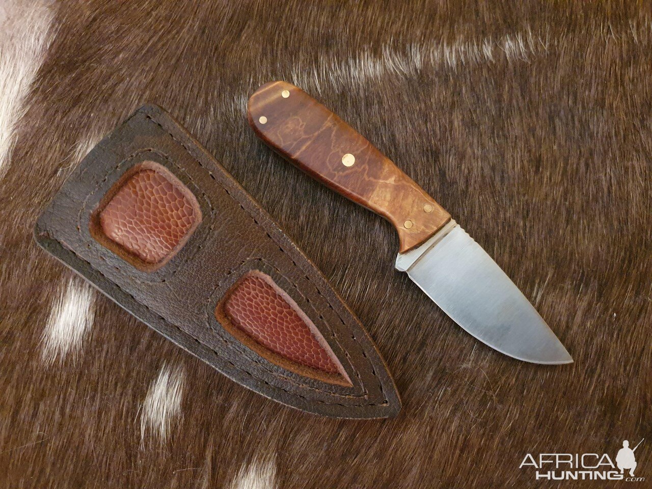 Smaller knife in Safari style