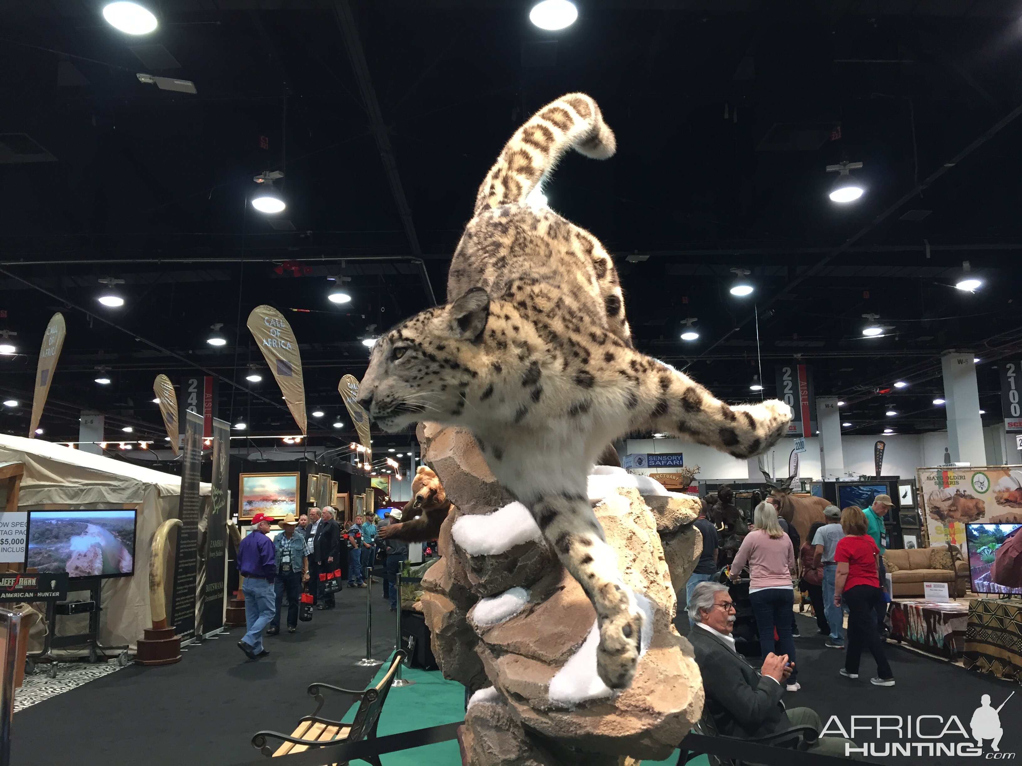 Snow Leopard Full Mount Taxidermy | AfricaHunting.com