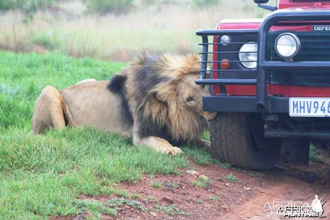 So who's going to volunteer to change the tyre?