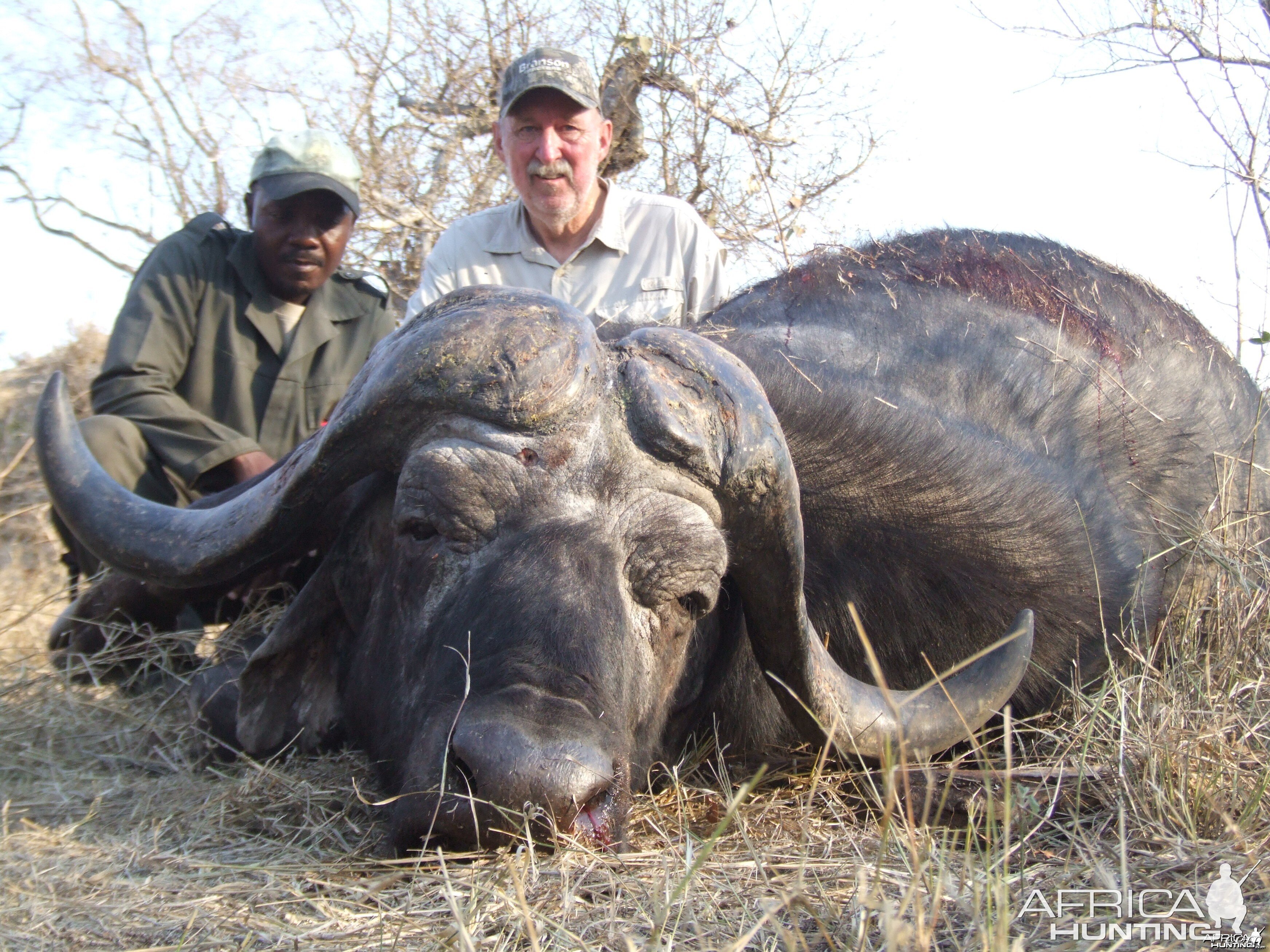 Some of our 2011 Buffalo