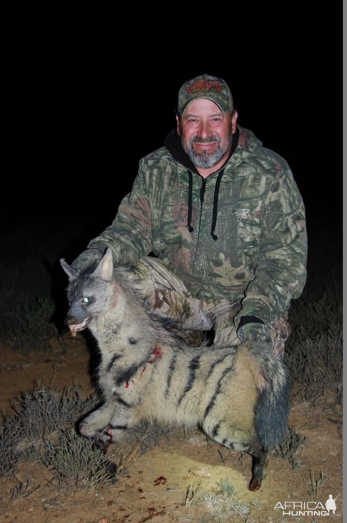 South Africa Aardwolf Hunt