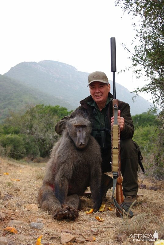 South Africa Baboon Hunt