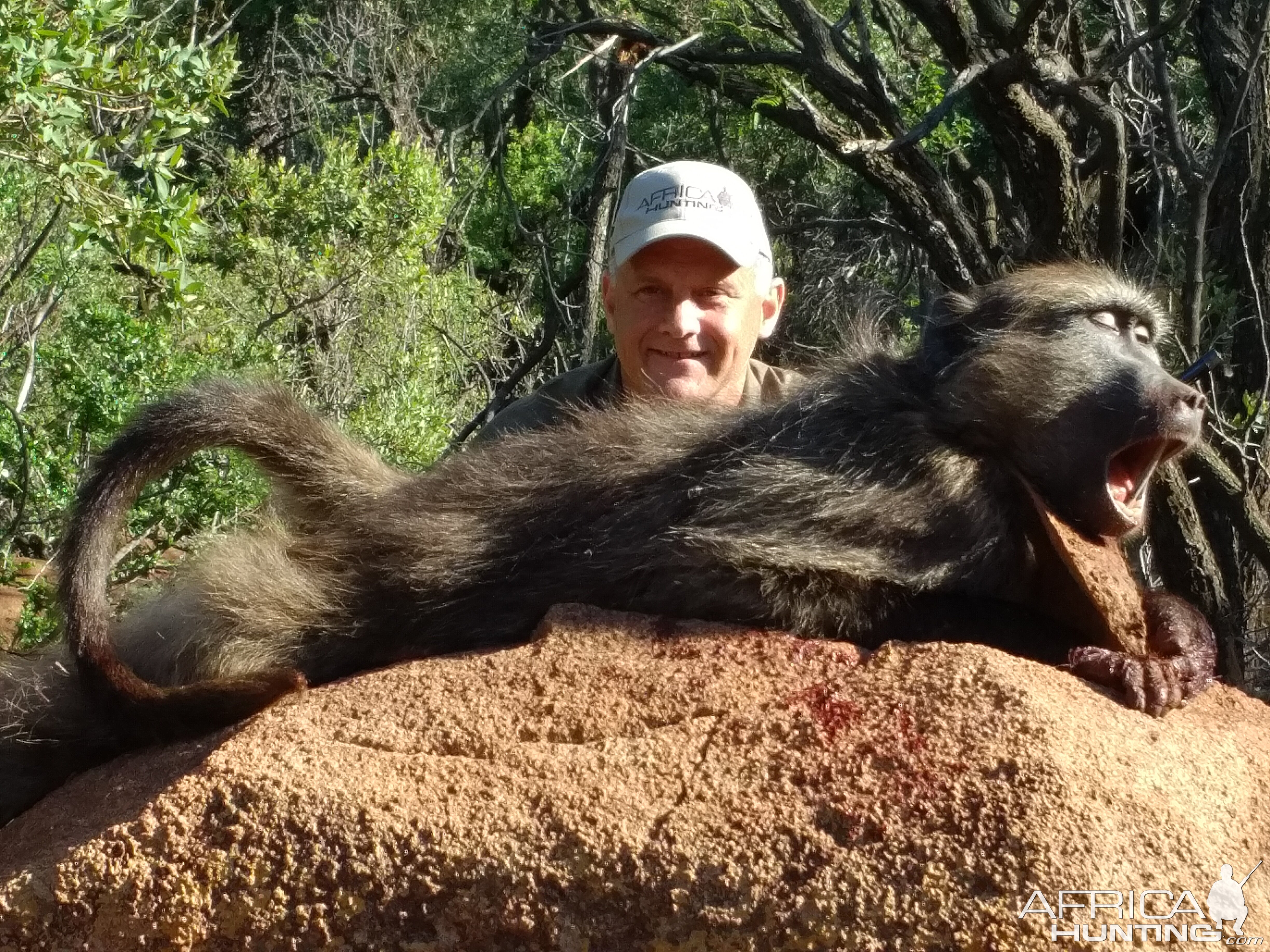 South Africa Baboon Hunt