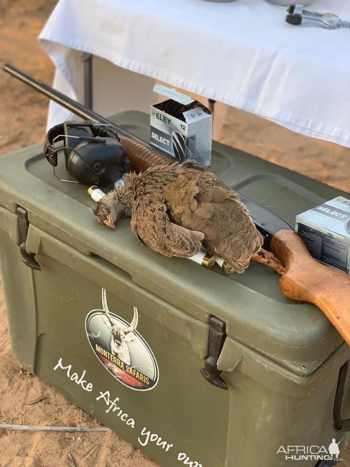 South Africa Bird Hunting