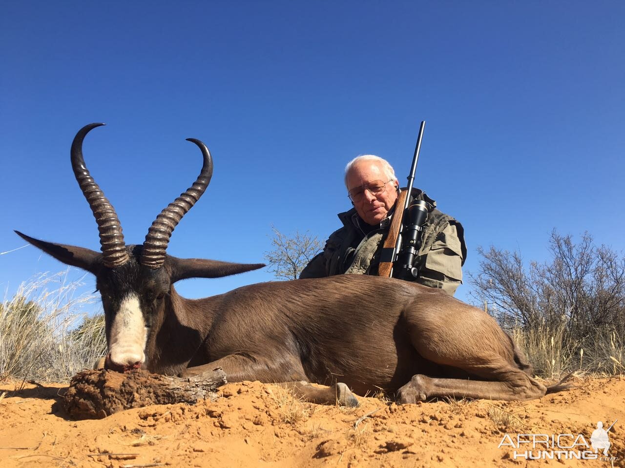 South Africa Black Springbok Hunting