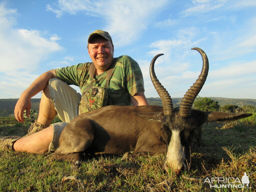 South Africa Black Springbok Hunting