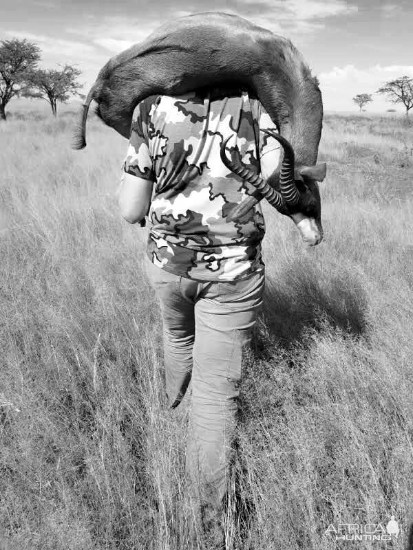 South Africa Black Springbok Hunting