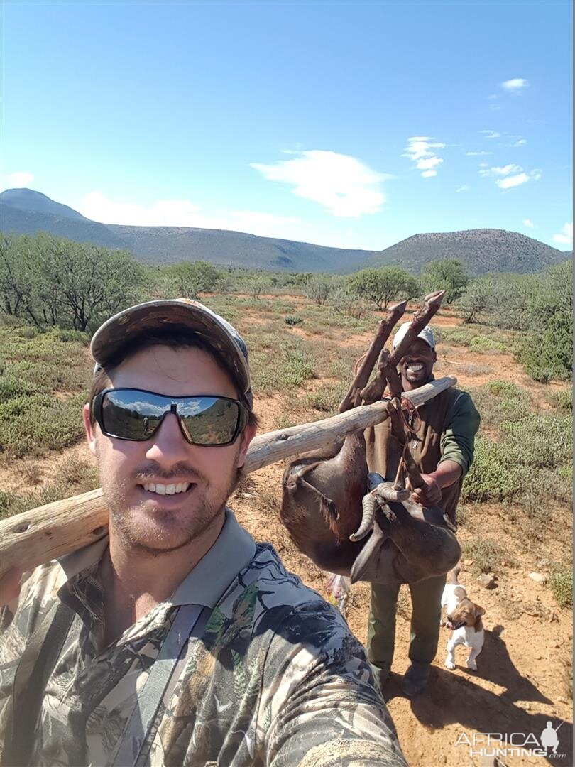 South Africa Black Springbok Hunting