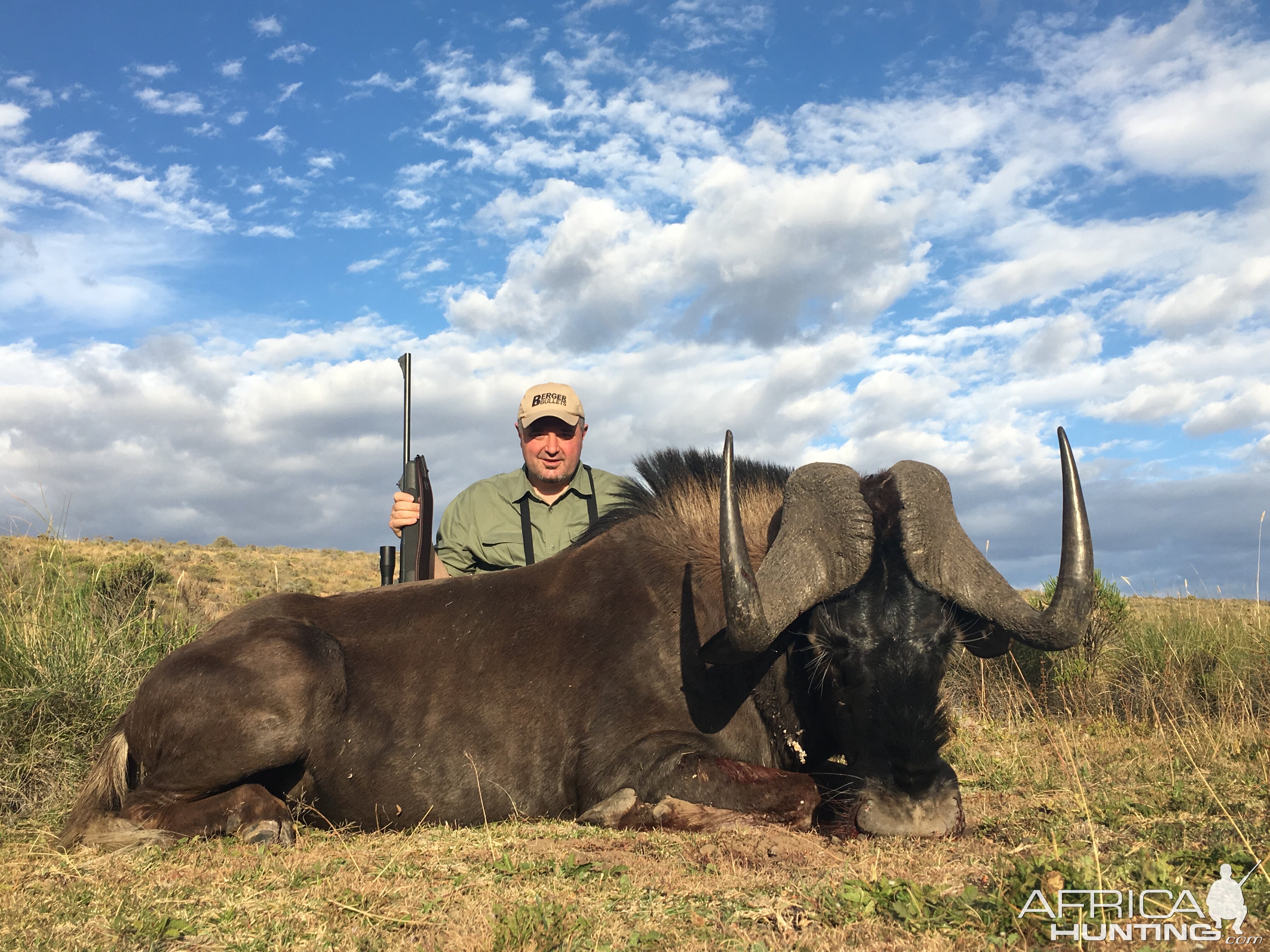 South Africa Black Wildebeest Hunt | AfricaHunting.com