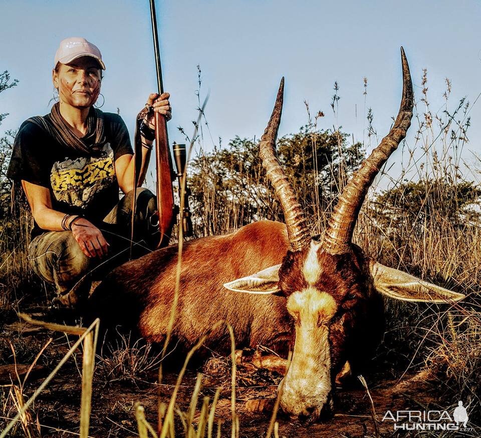 South Africa Blesbok Hunt 17" Inch