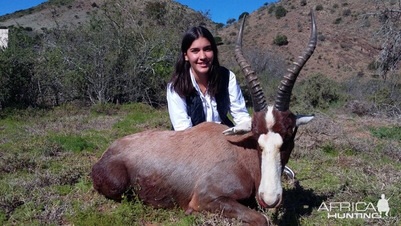 South Africa Blesbok Hunt