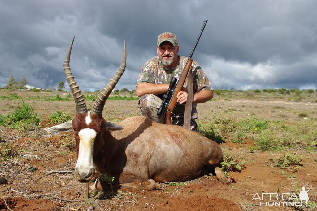 South Africa Blesbok Hunt