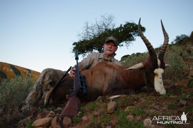 South Africa Blesbok Hunt