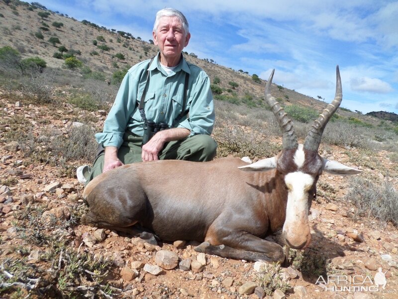 South Africa Blesbok Hunt