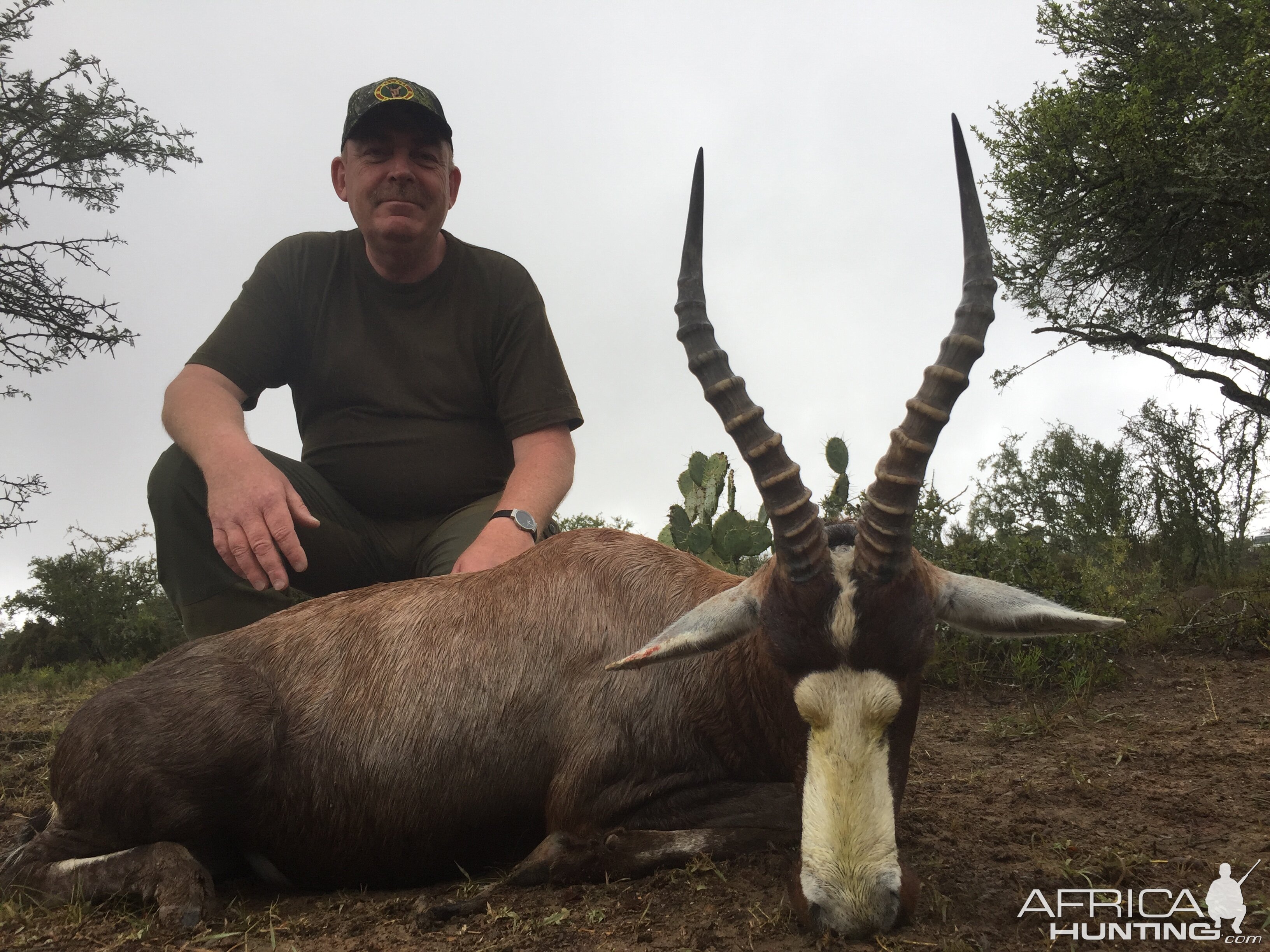 South Africa Blesbok Hunt