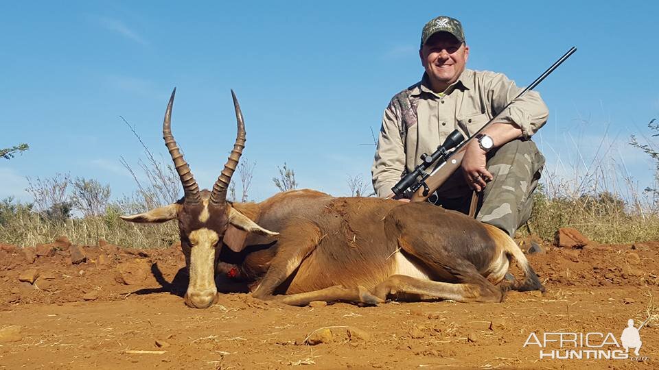 South Africa Blesbok Hunt