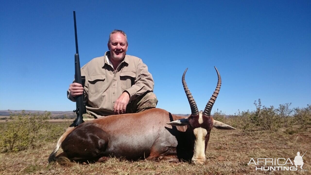 South Africa Blesbok Hunt