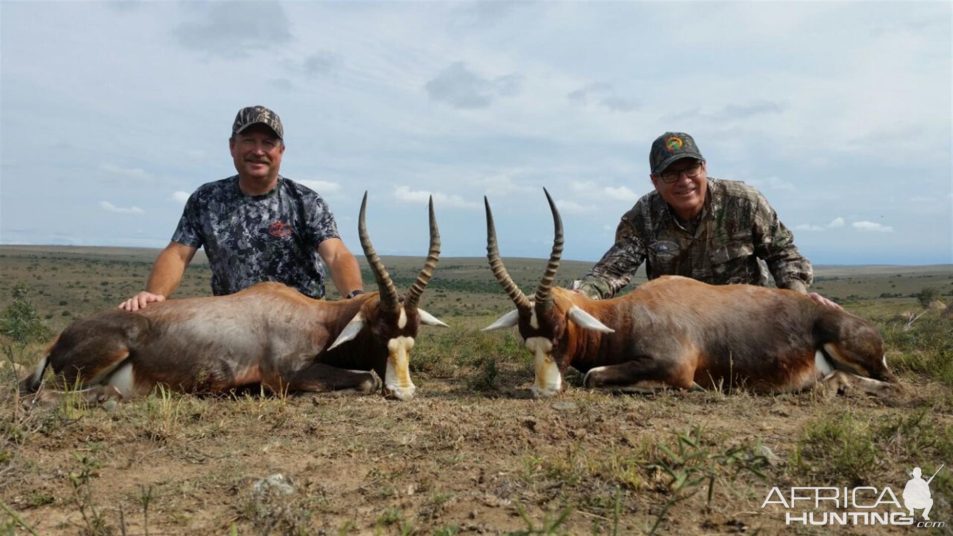 South Africa Blesbok Hunt