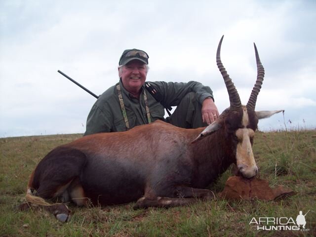 South Africa Blesbok Hunt