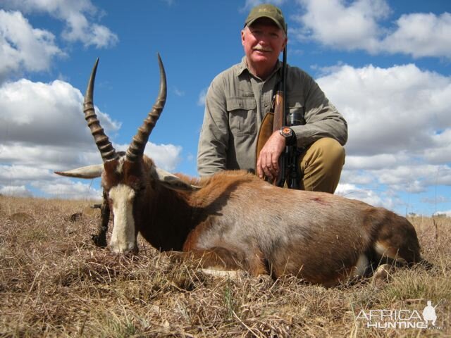 South Africa Blesbok Hunt